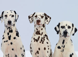 Rendszeres anyajegyszűrés és bőrvizsgálat – az egészséged érdekében ne kerüld el!